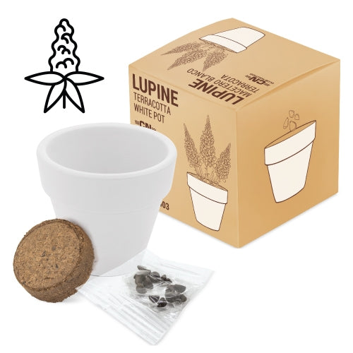 Vaso Terracota Cosmos