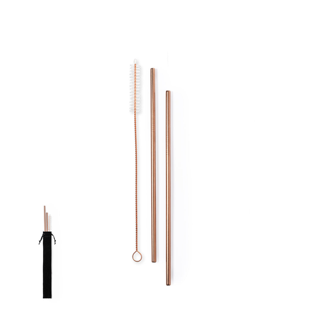 Conjunto de 2 Palhinhas em Aço Inoxidável Cobre