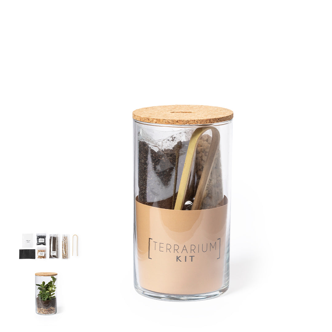 Terrário Vertical com Sementes de Cactus - Design e Durabilidade