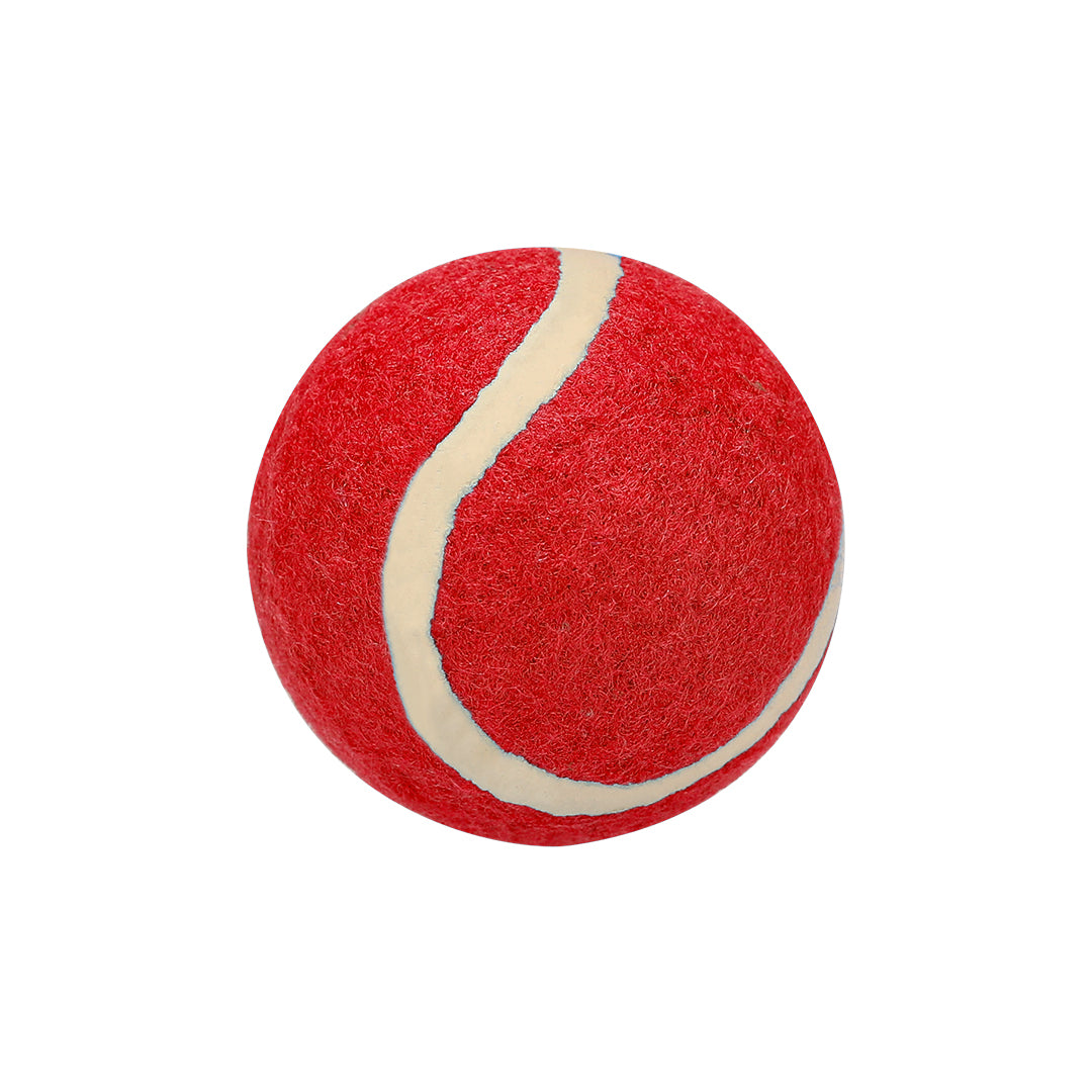 Pelota Resistente para Mascotes em Vários Cores