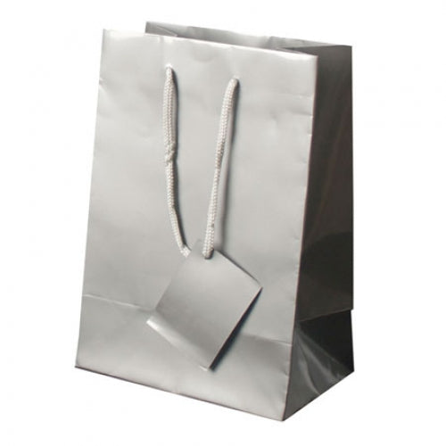 Bolsa de Papel Plastificado para Presente