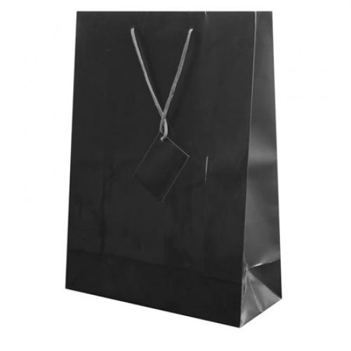Bolsa de Papel Plastificado Abby