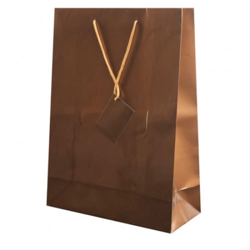 Bolsa de Papel Plastificado Abby