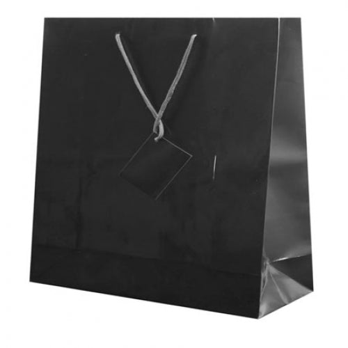 Bolsa de Papel Plastificado Charis