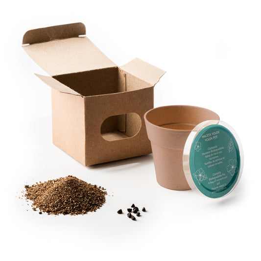 Vaso de Papel Reciclado com Sementes e Terra
