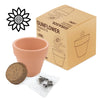 Vaso Terracota Cosmos