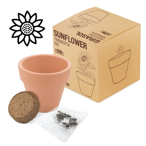 Vaso Terracota Cosmos