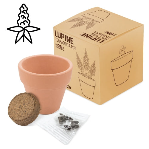Vaso Terracota Cosmos