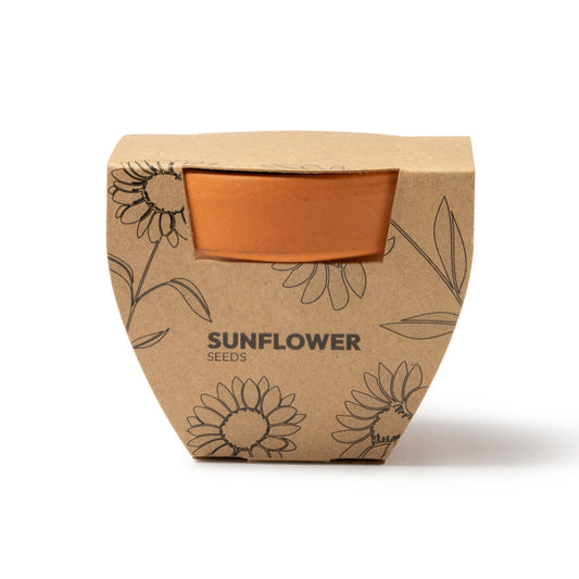 Vaso de Papel com Sementes de Girassol