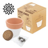 Vaso Terracota Cosmos