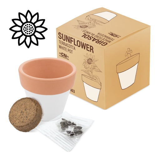Vaso Terracota Cosmos