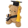 Peluche Urso Graduado com Acessórios