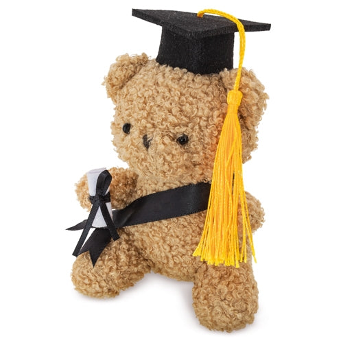 Peluche Urso Graduado com Acessórios