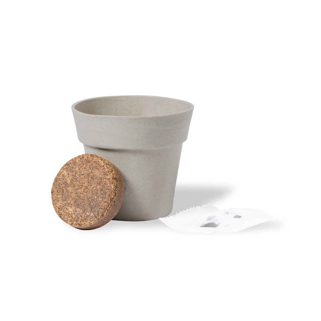 Vaso Biodegradável com Sementes de Girassol