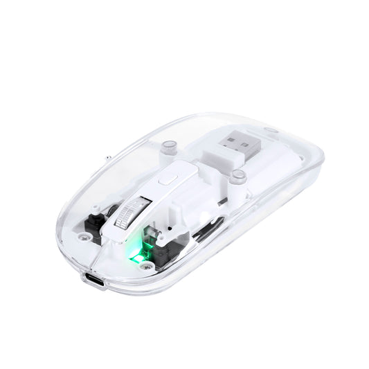 Ratão Óptico sem Fios com Design Transparente