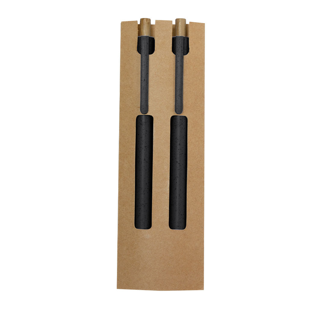 Conjunto Ecológico de Caneta e Lápis Eterno