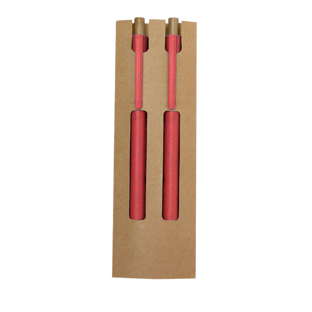 Conjunto Ecológico de Caneta e Lápis Eterno