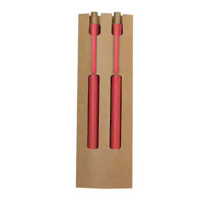 Conjunto Ecológico de Caneta e Lápis Eterno