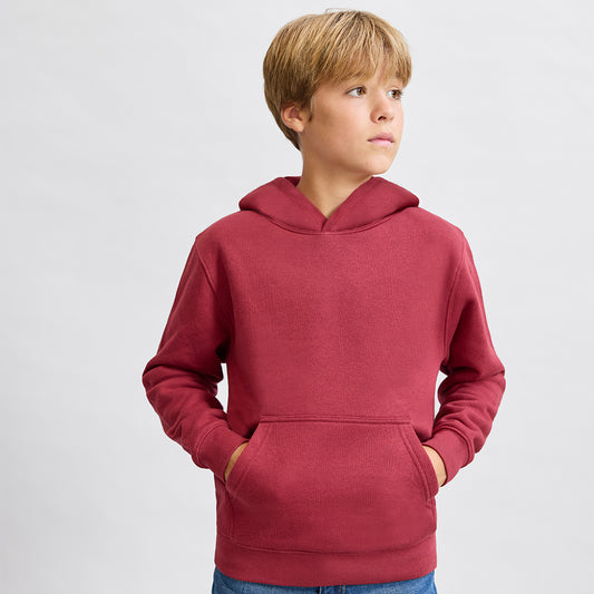 Sudadera Infantil Unisexo com Capuz Draco