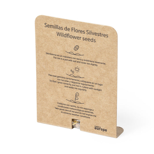 Cápsula de Sementes Flores Silvestres Coloridas