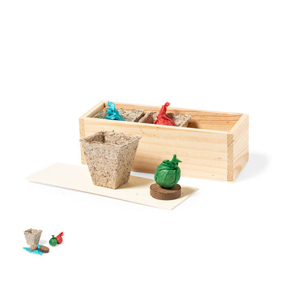 Kit de Ervas Aromáticas Mendrax - Cultive em Casa
