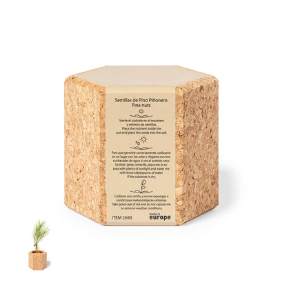 Maceta Nature com Sementes de Pinho e Vaso de Cortiça