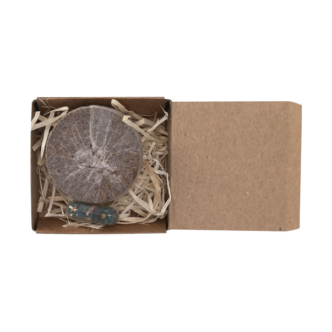 Pack Plantável com Flores Silvestres e Cápsula de Sementes