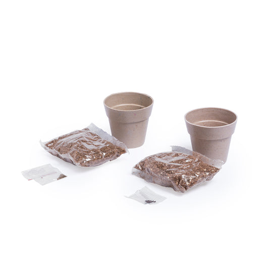 Set de 2 Vasos com Sementes de Hortelã e Salsa