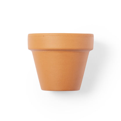 Maceta Soltax com Flores de Petúnia - Decoração Natural