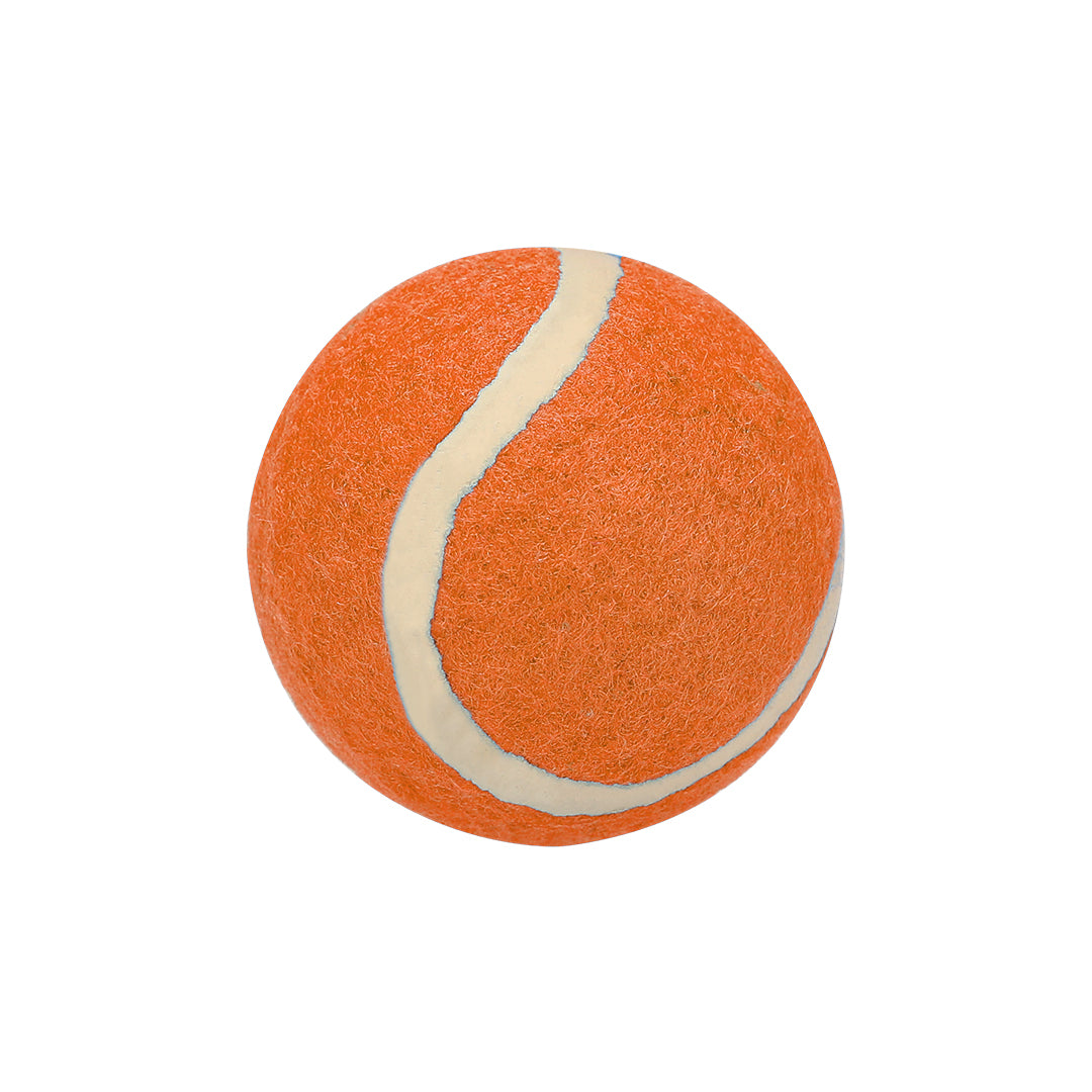 Pelota Resistente para Mascotes em Vários Cores