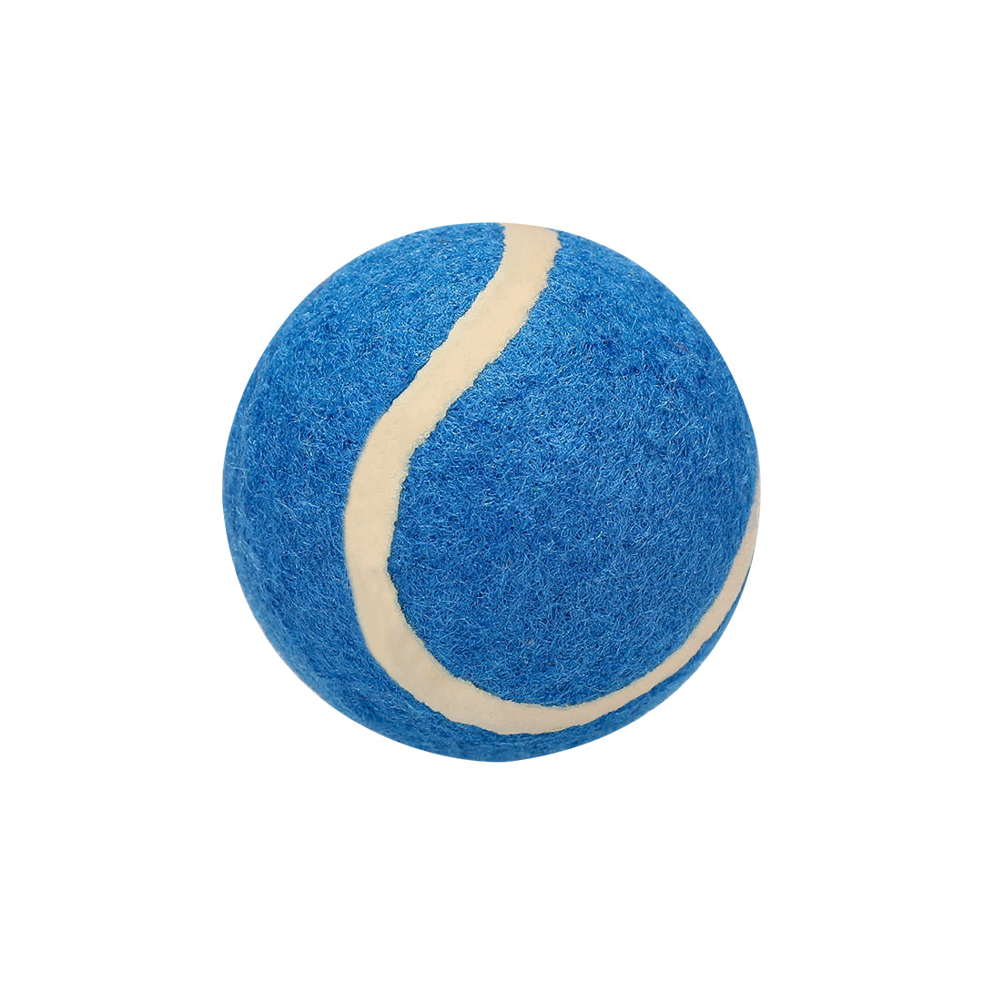 Pelota Resistente para Mascotes em Vários Cores
