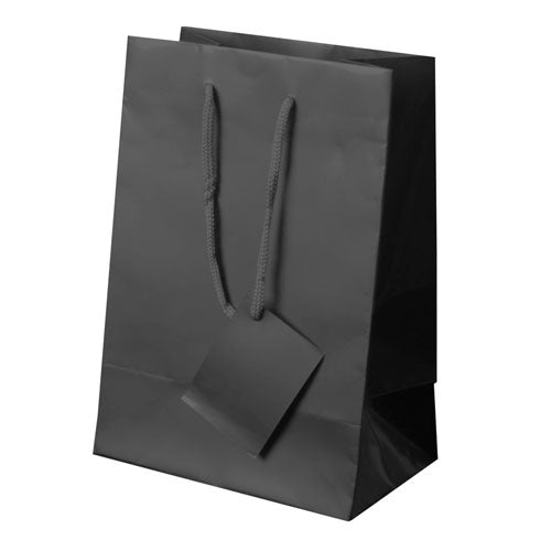 Bolsa de Papel Plastificado Adele