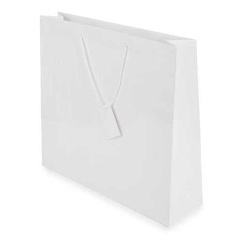 Bolsa de Papel Plastificado Charis