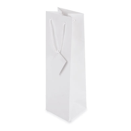 Bolsa de Papel Plastificado Elina